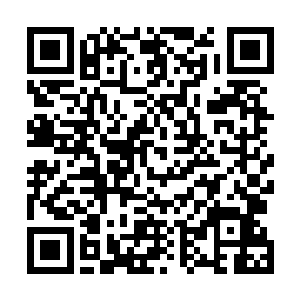 便是严承忻和李富李鸾儿也都照他的份例各自准备了一套二维码生成