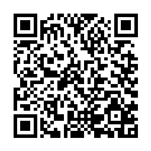 便是伤敌一千自损八百的秘术施展起来也是毫无顾忌二维码生成