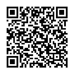 便是冬天各世家家中摆设之类的都是用的他家的花卉二维码生成