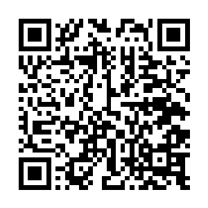 便是名满天下的明月公子不也拜倒在苏姑娘的石榴裙下么二维码生成