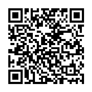 便是因为这青铜宫殿时不时的爆发出一股强烈的波动二维码生成