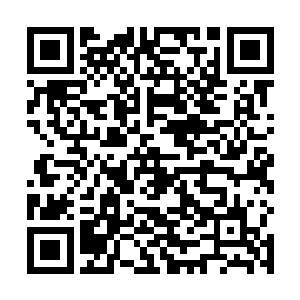 便是埋在了乱葬岗大树树梢上的一颗临时性的龙气珠子二维码生成