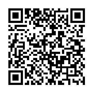 便是她在百草堂将一个本来已经死去的人又给医活了二维码生成