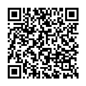 便是异形皇后寄生了铁血战士而诞生的恐怖生物二维码生成