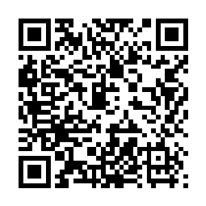 便是徐家这边人似乎也压根没有要出手帮忙的意思……二维码生成