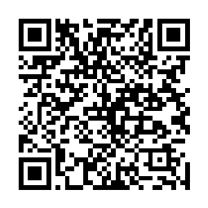 便是料定了爹爹绝对不会为了一个小厮而去和青城派撕破脸二维码生成