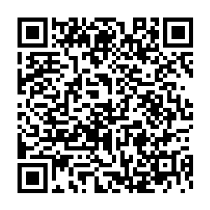 便是昆仑掌教清虚老道手中的传世神器……而且秘藏所在的那一处秘地二维码生成