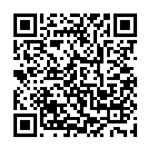 便是这块最终被徐凤年留在书案把玩的上等白玉籽料二维码生成