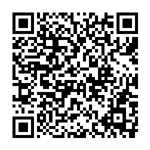 便是那位力排众议一定要新酋长经历蟒神庇福的怕活了一百岁的老巫师二维码生成