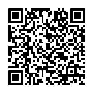 便曾经专门设计并且训练过如何应对龙族强者的攻击二维码生成