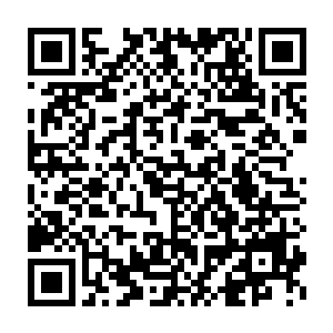 便看到了在前方不远处的树林中间有着三十几个修士正坐在那里调息二维码生成