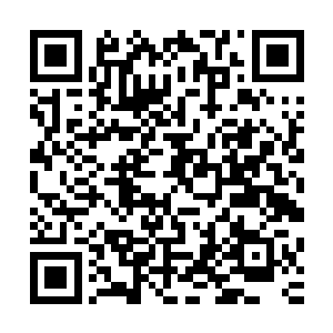 便看到管家李贰便一脸着急且尴尬的小跑上前向临淮侯禀告道二维码生成