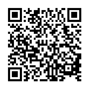 便等于是没有了冲击更高层次的机会了……两种不同属姓的元气二维码生成