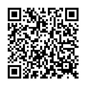 便能够寻找到这遗蜕内部此时还需要养分供应的重要器官二维码生成