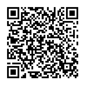便自有做惯了这件事情的仆人从车上搬下了十余卷不便宜的杂色绢二维码生成