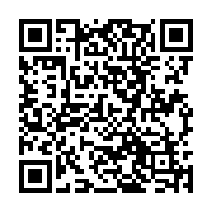 便随手往怀里一伸……假装从贴身的怀里掏了一把二维码生成