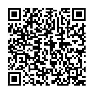 俗称一撮毛的乌克兰匪帮在这片俄罗斯跟欧洲交界的土地上呼啸来去二维码生成