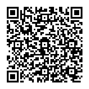保持着澹台璃左手揽着我的腰右手捏着我的右手中指点上白狐的正额心位置姿势不变二维码生成