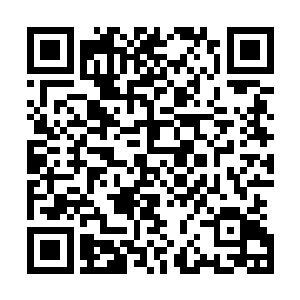 俞皓刚才给我来电话说他要过来采取一点这个小家伙的血液二维码生成
