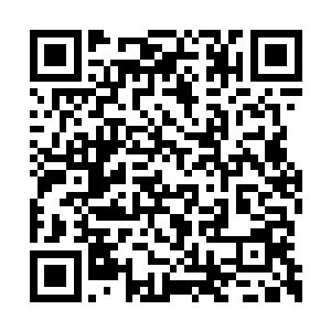 俨然就是陈姨娘的婢女莲儿和大厨房的掌厨林妈二维码生成