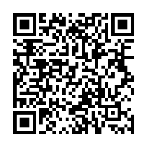 修为和境界的提升也让龙傲天的实力取得了突飞猛进的进展二维码生成