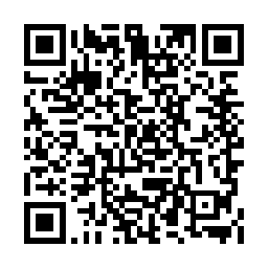 修真界很多炼丹师都会捕捉寒冰食人蚁拿来炼丹二维码生成