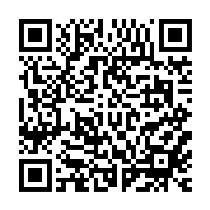 修行中人使用愿力珠也无非是借助众生愿力来加快灵气的吸收二维码生成