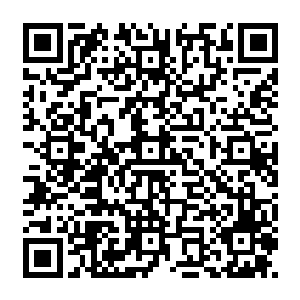 倒不如说是尖啸怨灵王直接就被吸入了四象乾坤鼎之中了……它的尖啸声波再如何强大二维码生成