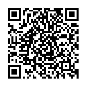 倒与那狰狞的面目有些不太相符――其实它若不是一直碰撞牙齿二维码生成