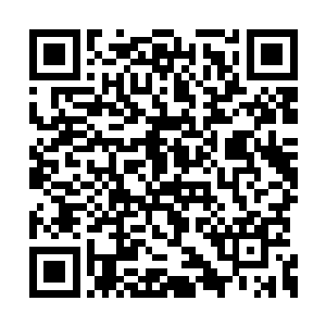 倒出十几颗比绿豆还小上一圈的药丸给王杰等人二维码生成