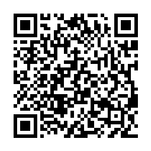 倒叫我想象不出你长成大姑娘应当是一副什么样的了二维码生成