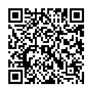 倒在地上装受伤的几名保安看到廖大本被赵长枪踹昏了二维码生成