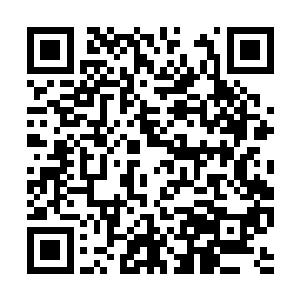 倒是他本就强悍的恢复疗伤之能得到了极大的增强二维码生成