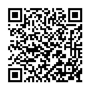 倒是十殿阎王看向她的眼神多了一丝敬畏和感激二维码生成