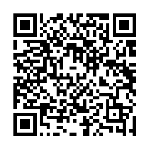 倒是奇怪了……听说原先是跟着你们家四老爷住在适安二维码生成