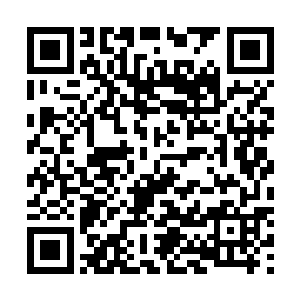倒是知道了一些圣族功法的诡异以及圣族的手段如何血腥二维码生成