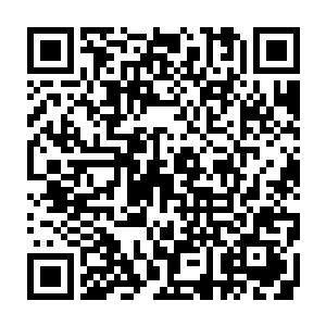 倒是金融办和招商引资办这两项工作以及更为重要的企业改革这一块工作二维码生成