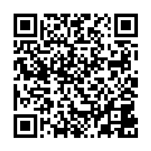 倒是韩珊珊挑走了两三百件稀罕的物质回去炼宝二维码生成