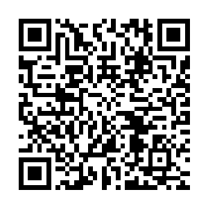 倘若不是自己的士兵死伤数量让叶无法感到心疼的老泪纵横的话二维码生成