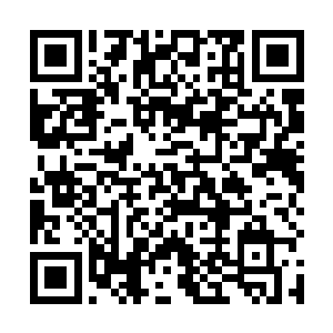 倘若两位实力如此之强的主神在我们东安郡内爆发大战二维码生成