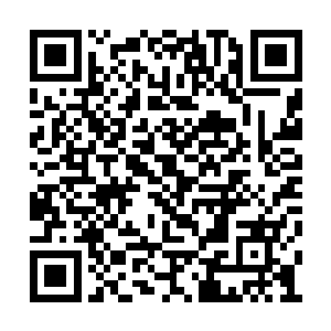 倘若你们身上的传承至宝真的是当初的传承至宝二维码生成