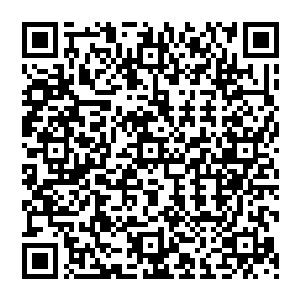 假如周若诗居然把这次的招商活动举办成功了……那他们也肯定会及时的跳出来分上一杯羹的二维码生成