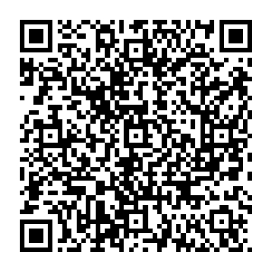 假如我当了国君……楚子厚脑海中便闪现出沈喜臻一身皇后装扮与他携手接受文武百官朝拜的景象来二维码生成