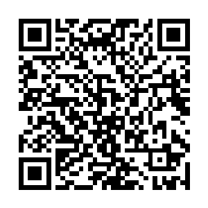 偌大的客厅中央摆放着沙发茶几等会客用的常见家具二维码生成