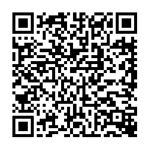 偏偏还要心存侥幸……我为什么非要在撞上这样一个疯子之后才懂得后悔……二维码生成