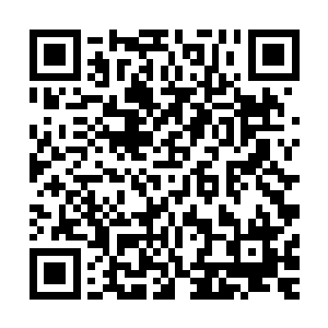 做出了惊恐的表情――温迪忽然发现这也是剧本中没有的内容二维码生成