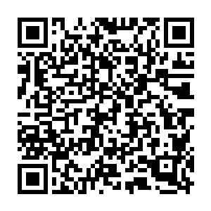 做梦都没想到ct的比赛中竟然出现了需要他们使用专业知识的地方二维码生成