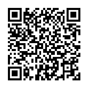 做着镇之以静表率的孟奇粗略翻了一遍已看完的这堆卷宗二维码生成