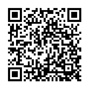 做访谈类节目经验丰富的周芸也忍不住有些小紧张起来二维码生成