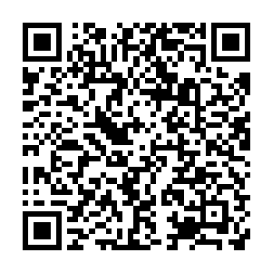 停留在后方不动的一万巨型丧尸和五千眉心有着两个黑色五角星的丧尸二维码生成